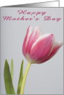 Mother’s Day Tulip card