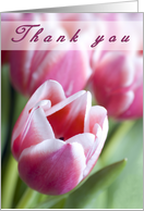 Thank You Tulips card