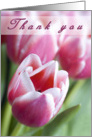 Thank You Tulips card