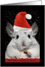 Chinchilla Christmas Card