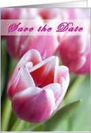 Save the Date card