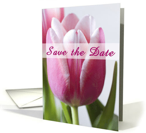 Save the Date card (594260)