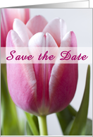 Save the Date card