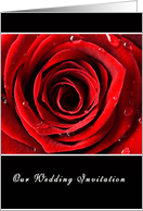 Beautiful Red Rose Wedding Invite card