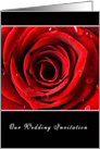 Beautiful Red Rose Wedding Invite card