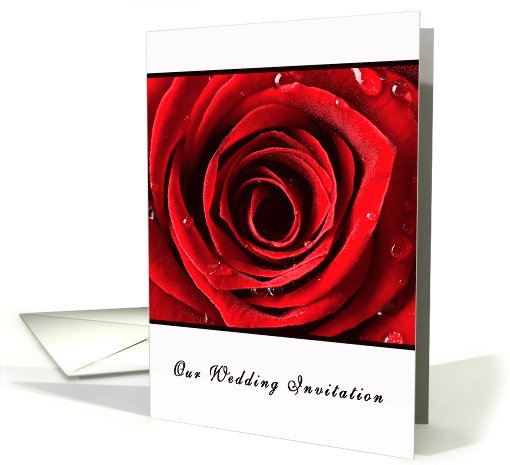 Beautiful Red Rose Wedding - on White card (686305)