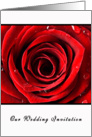 Beautiful Red Rose Wedding - on White card