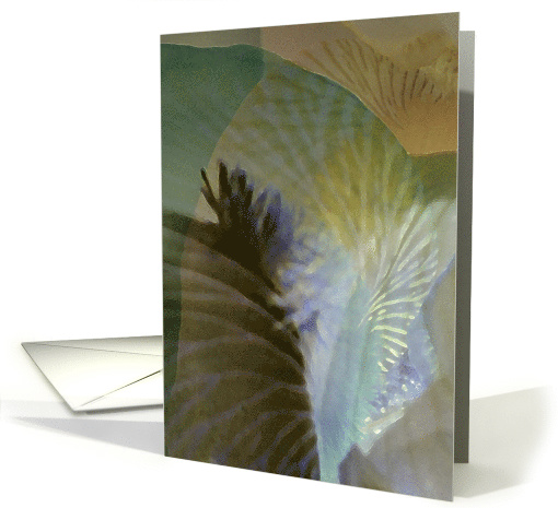 Iris-scape card (558313)