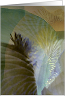 Iris-scape card