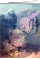 Cloudrose card
