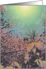 Snowlight card