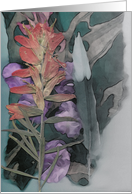 Indian paintbrush and feather card