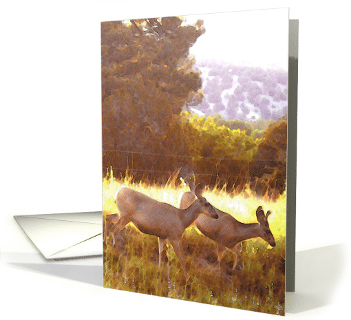 Mule deer in Gila Wilderness N.M. card (560952)