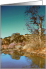 Still Waters card