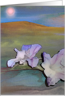 Basking Gladiolus card