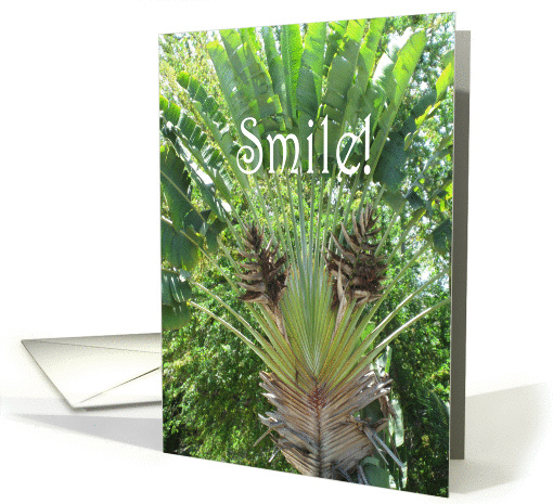 Smile! Its your birthday. card (556783)