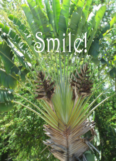 Smile! Its your...