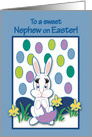 Nephew Easter Raining Jelly Beans Bunny card