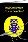 Granddaughter Halloween Owl W Big Yellow Moon on Tree Branch card