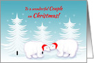 Gay Couple Christmas Humor Snuggling Polar Bears in Snow card