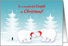 Lesbian Couple Christmas Humor Snuggling Polar Bears in Snow card