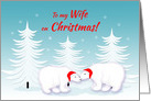 Wife Christmas Humor Snuggling Polar Bears in Snow card