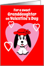 Granddaughter Valentine’s Day Cute Dog with Red Floppy Hat card