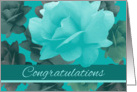 Wedding Congratulations Beautiful Dreamy Roses card