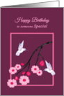 Birthday White Hummingbirds on Cherry Blossom Branch card