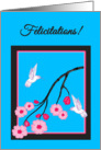 French Congratulations White Hummingbirds on Cherry Blossoms card