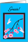 Italian Thank You White Hummingbirds on Cherry Blossoms card