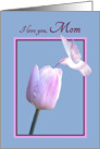 Birthday for Mom Beautiful White Hummingbird on Tulip card