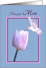 Mom Mother’s Day Beautiful White Hummingbird on Tulip card