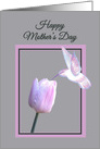 Mother’s Day Beautiful White Hummingbird on Tulip card