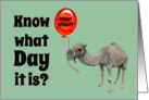 Hump Day Funny Camel with Big Red Balloon card