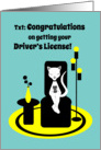 Congratulations Driver’s License Funny Stylistic Texting Cat card