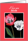 Birthday For Mom Handpainted Tulips Side by Side Print card