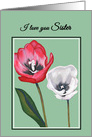 Get Well Cancer Patient For Sister Handpainted Tulips Print card