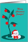 Custom Name Christmas White Cat in Santa Hat card