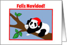 Spanish Christmas Panda Bear in Santa Hat with Wine card