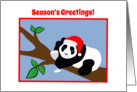 Christmas Season’s Greetings Panda Bear in Santa Hat with Wine card