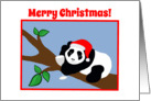 Christmas Humor Panda Bear in Santa Hat with Wine card