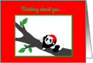 Miss You Christmas Humor Panda Bear in Santa Hat with Wine card