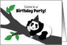 Invitation Birthday Panda Bear w Champagne Toast in Tree card
