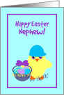 Nephew Easter Baby Chick, Basket, Colored Eggs, Flowers card