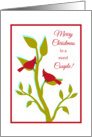 Christmas for Couple Red Cardinals in Tree card