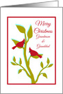 Christmas for Grandparents Red Cardinals in Tree card