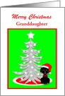 Custom Christmas Black Toy Poodle Dog in Red Santa Hat card