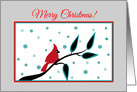 Merry Christmas Red Cardinal Bird on Branch with Snowflakes card