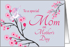 Mom Mother’s Day from Daughter Cherry Blossoms and Hummingbird card
